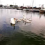 Houseboat Cosy Et Atypique A Le Zimon Πλωτό κατάλυμα *