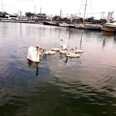 Bateau Le Zimon - Insolite Bateau-hôtel *