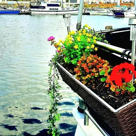 Bateau Le Zimon - Insolite Rouen
