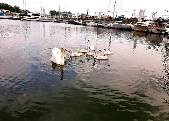 Houseboat Cosy Et Atypique A Rouen Le Zimon Botel *