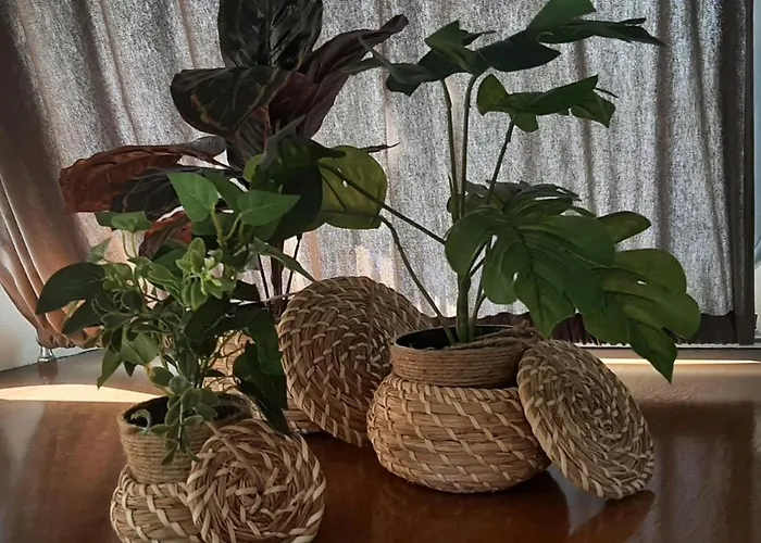 Botel Houseboat Cosy Et Atypique A Rouen Le Zimon Rouen